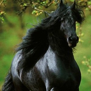 Meet your Posher, Catherine